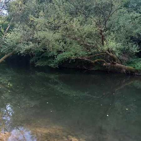 Koliba Dimitrijevic *