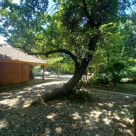 Apartamento Koliba Dimitrijevic *